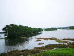 -沙美村