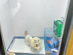 -博特宠物医院24h犬猫全科.骨科·异宠