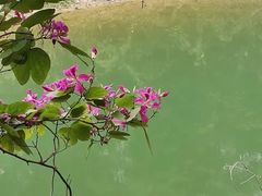 -红花湖景区