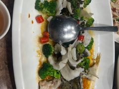 -顺意·顺德家乡菜(国际人才大厦店)