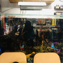 -MDZ STORE·TATTOO·耳饰