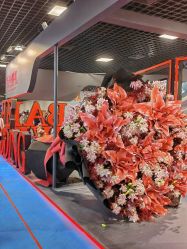 -Sunny喜铺婚礼定制·求婚策划