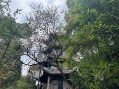 -成都杜甫草堂博物馆