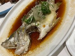 -金河半岛园林酒家(金融城店)