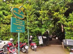 -Fern Forest Cafe