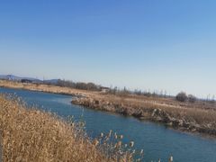 -苏州太湖湖滨国家湿地公园