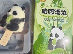 -都江堰中华大熊猫苑