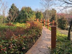 -吴淞炮台湾湿地森林公园烧烤区