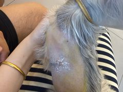 -达爱动物医院·犬猫分区·CT·复杂眼科(远洋山水分院)