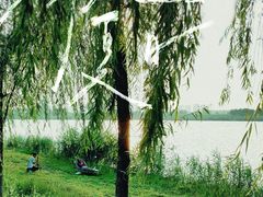 -渭河城市绿地运动公园