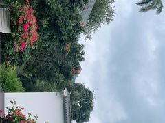 -三亚太阳湾柏悦酒店