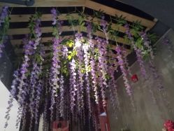 -Cocodemer 产后恢复中心(多伦路店)