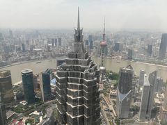 -上海柏悦酒店·世纪100牛排馆