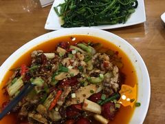 -功夫兔