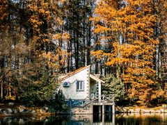 -上海共青森林公园