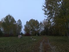 -北极村旅游风景区