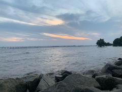 -宝安西湾红树林湿地公园