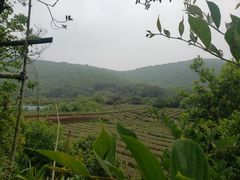 -宝界山林公园