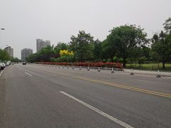 -泰丰公园