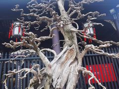 -成都武侯祠博物馆