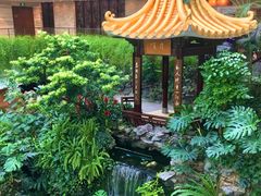 -白天鹅宾馆·月兔吧