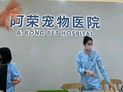 -阿荣24H宠物医院·综合型转诊中心·CT·核磁影像中心