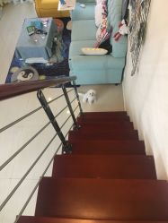 -肌理言健康美肌驻颜所