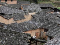 -杨家堂村