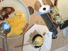 -Bco豆库(星耀天地店)