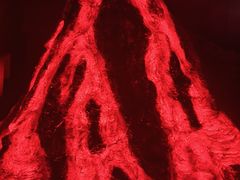 -安徽省地质博物馆