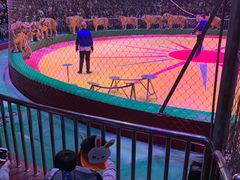 -西安秦岭野生动物园