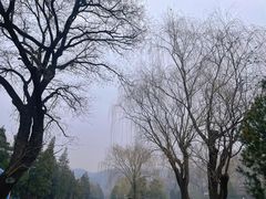 -八大处公园