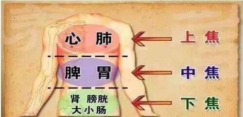 -香薇妮丝·定制减肥·身材管理