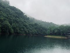 -鼎湖山风景区
