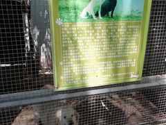 -第五季龙水凤港生态露营农场