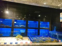 水产区-金时代顺风大酒店(临港百联店)