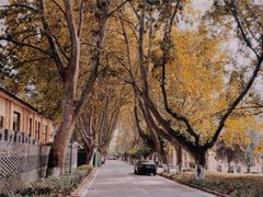 -T80科技文化国际社区-停车场