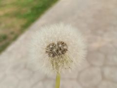 -南戴河国际娱乐中心