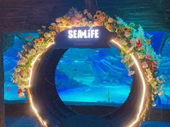 -沈阳海洋探索中心