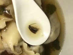 -老边饺子(彩虹城店)