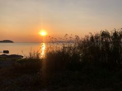 -上海市保健医疗中心