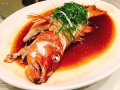 -龙皇酒家(黄埔店)