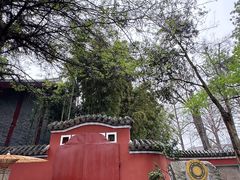 -望江楼公园