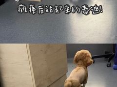 -爱侣宠医·鹦鹉专科·小型哺乳类·异宠专科(灵石路店)