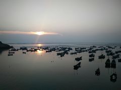 -枸杞岛