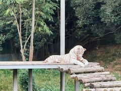 -宁波野生动物园