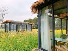 -洪湖家庭农场·团建·露营·会议