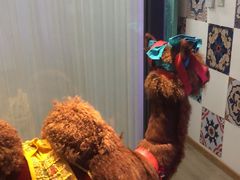 -JOJO实景沉浸侦探剧本杀(大悦城店)