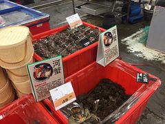 -华润万家(北辰店)