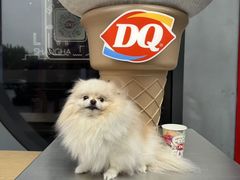 -DQ·蛋糕·冰淇淋(五角场万达店)